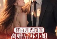 求替白月光顶罪，离婚后苏小姐惊艳全球小说的全文免费阅读链接-优文网