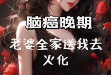 免费在线阅读脑癌晚期，老婆全家送我去火化小说的正规网站有哪些？-优文网