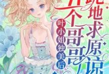 叶小姐独美后，五个哥哥跪地求原谅叶簌簌小说在线章节免费阅读-优文网