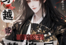 小说完整版《穿越成病弱公子替嫁后》免费阅读-优文网