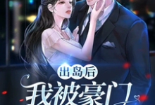 小说《出岛后，我被豪门千金破了功》章节免费阅读-优文网