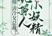林殇孟馨小说在线章节免费阅读（赘婿：清冷女总裁？她撩人小妖精无弹窗无删减）-优文网