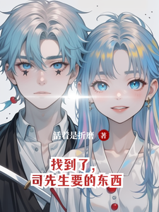 小说《找到了，司先生要的东西》章节免费阅读