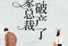 我家总裁破产了小说完结了吗？在哪里可以免费读到？-优文网