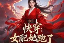 完结版《快穿：女配她跑了》章节目录在线阅读-优文网