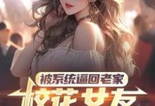 被系统逼回老家，校花女友追来了萧川，被系统逼回老家，校花女友追来了章节在线阅读-优文网