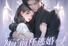 为了前任逃婚？她绝不原谅免费阅读，为了前任逃婚？她绝不原谅章节在线阅读-优文网