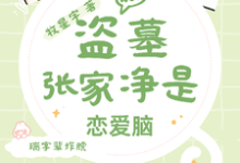 盗墓：张家净是恋爱脑免费阅读，盗墓：张家净是恋爱脑章节在线阅读-优文网
