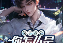 千秋黄毛毛小说完整版《傻子老公，你怎么是众大佬香饽饽》免费阅读-优文网