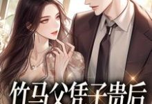 完整版小说《竹马父凭子贵后，对我霸道宣爱》免费阅读-优文网