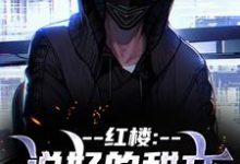 齐洛小说完结版在线阅读，红楼：说好的甜文咋变恐怖文了免费看-优文网