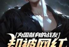 为国献身的战友却被网红嫌晦气苏阳小说大结局免费试读-优文网