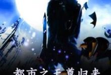 都市之天尊归来小说全文哪里可以免费看？-优文网