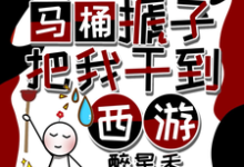 秦墨孙悟空小说天降马桶搋子，把我干到西游章节免费阅读-优文网