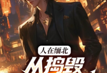 韩潇小说人在缅北，从捣毁科技园开始完整版阅读-优文网