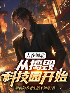 韩潇小说人在缅北，从捣毁科技园开始完整版阅读