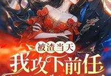 被渣当天，我攻下前任的禁欲哥哥小说的所有章节都能在哪里免费读到？-优文网