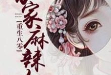 重生八零：农家麻辣女李婉，重生八零：农家麻辣女在线无弹窗阅读-优文网