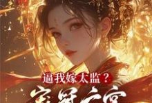 完结版《逼我嫁太监？宠冠六宫气死你全家》免费阅读-优文网