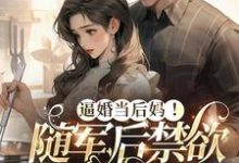 逼婚当后妈！随军后禁欲大佬上瘾免费阅读，逼婚当后妈！随军后禁欲大佬上瘾苏曼丽闫峰-优文网