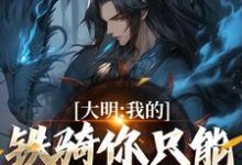 张璟川小说大明：我的铁骑你只能看不能借！在线阅读章节-优文网