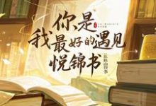 你，是我最好的遇见小说阅读，你，是我最好的遇见完结版-优文网