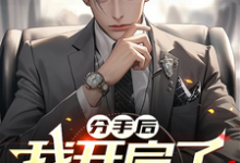 分手后，我开启了无敌之路章节免费在线阅读，林小安完结版-优文网