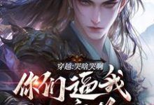 求穿越：哭啥哭啊，你们逼我入魔道小说免费资源-优文网