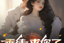 乖徒，求你了，下山去吧小说完结版章节免费阅读-优文网