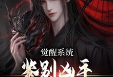 哪里能找到觉醒系统：鉴别凶手只靠火眼金睛小说的全部章节？-优文网