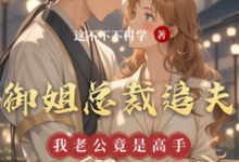 御姐总裁追夫，我老公竟是高手这本小说在哪里可以看？哪里有免费试读章节？-优文网