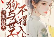 吴恙李秉乾完整版《老娘我最大，狗与世子不得入内》小说免费阅读-优文网