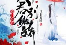 农门有喜：夫君别傲娇小说完结版章节免费阅读-优文网