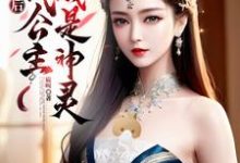 分手后，古代公主当我是神灵叶小天小说免费阅读-优文网