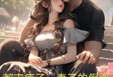 小说《都市疯子：妻子的假面》在线章节阅读-优文网