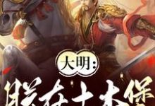 大明：朕在土木堡杀疯了小说的所有章节都能在哪里免费读到？-优文网