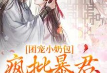 团宠小奶包，疯批暴君沉迷养崽最新章节，团宠小奶包，疯批暴君沉迷养崽免费阅读-优文网