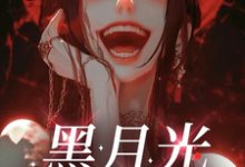 黑月光她满口谎言小说免费资源，黑月光她满口谎言在线阅读-优文网