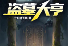 杨风麻杆小说完结版在线阅读，盗墓大亨免费看-优文网