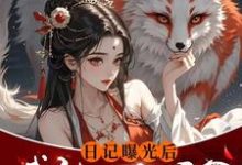 日记曝光后我被四个侯爷盯上了章节免费在线阅读，李意欢完结版-优文网
