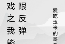完结版《游戏之我能无限反弹》在线免费阅读-优文网