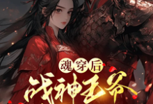魂穿后，战神王爷非我不娶小说的最新章节在哪里更新？免费追踪阅读-优文网