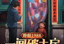 小说《睁眼1988一间破土房俩没娘娃》完整版章节免费阅读-优文网