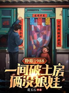 小说《睁眼1988一间破土房俩没娘娃》完整版章节免费阅读