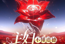 主妇不懂道德只懂法完整版小说，主妇不懂道德只懂法苏婉-优文网