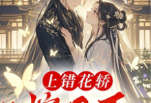 完结版《上错花轿嫁丑王》章节阅读-优文网
