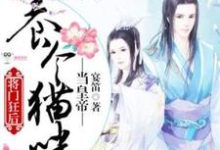 将门狂后：养个猫咪当皇帝连瑾，将门狂后：养个猫咪当皇帝小说免费阅读-优文网