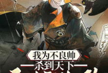 我为不良帅，杀到天下无人敢乱政章节免费在线阅读，许怀义完结版-优文网