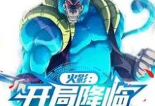 火影：开局降临猿魔圣地小说无弹窗阅读的网站推荐-优文网
