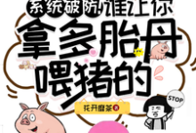 宋清梨小说系统破防！谁让你拿多胎丹喂猪的在线阅读章节-优文网